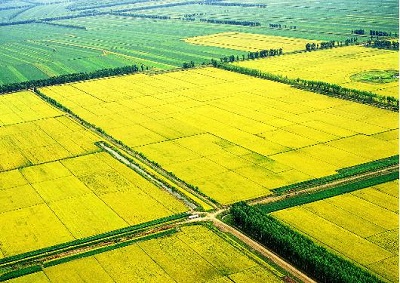 1706407573720283.jpg 51395e1275309abe244fddf34603f09e_u=3278078342,1708594799&fm=175&app=25&f=JPG_w=530&h=375&s=2BA56786B95AF5C656565A690300E07C(1).jpg